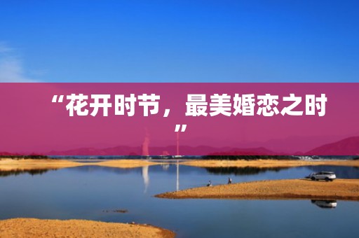 “花开时节，最美婚恋之时”