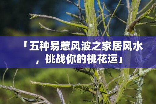 「五种易惹风波之家居风水，挑战你的桃花运」
