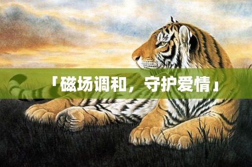 「磁场调和，守护爱情」