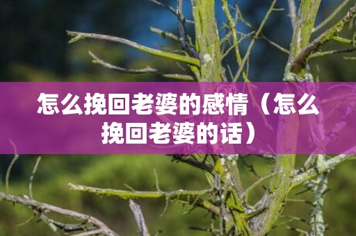 怎么挽回老婆的感情（怎么挽回老婆的话）