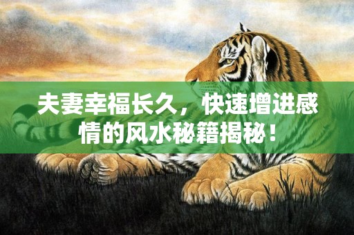 夫妻幸福长久，快速增进感情的风水秘籍揭秘！