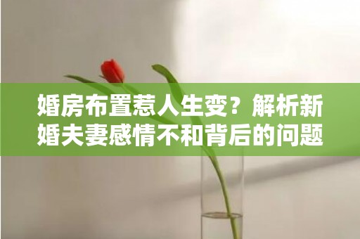 婚房布置惹人生变？解析新婚夫妻感情不和背后的问题