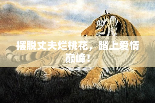 摆脱丈夫烂桃花，踏上爱情巅峰！