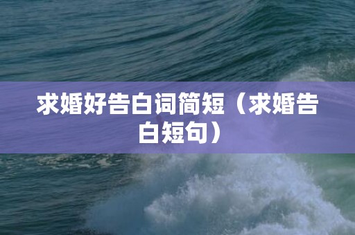 求婚好告白词简短（求婚告白短句）