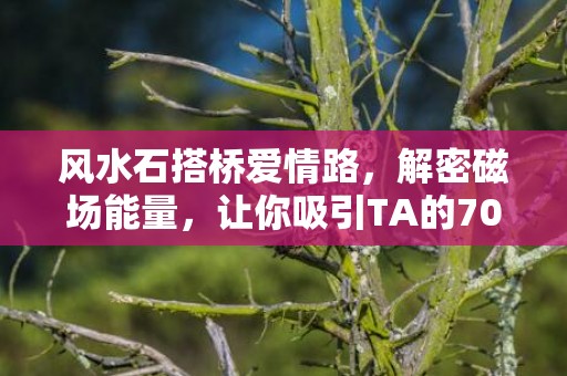 风水石搭桥爱情路，解密磁场能量，让你吸引TA的70个字符