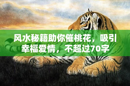 风水秘籍助你催桃花，吸引幸福爱情，不超过70字