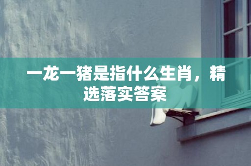一龙一猪是指什么生肖，精选落实答案