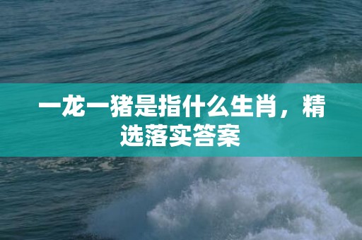 一龙一猪是指什么生肖，精选落实答案