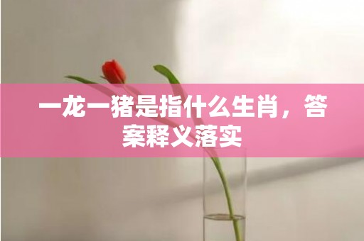 一龙一猪是指什么生肖，答案释义落实