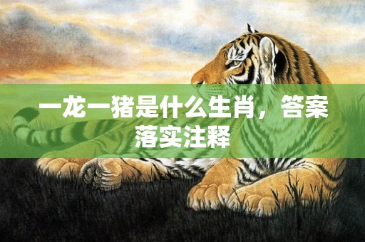 一龙一猪是什么生肖，答案落实注释