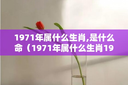 1971年属什么生肖,是什么命（1971年属什么生肖1970年属什么生肖）