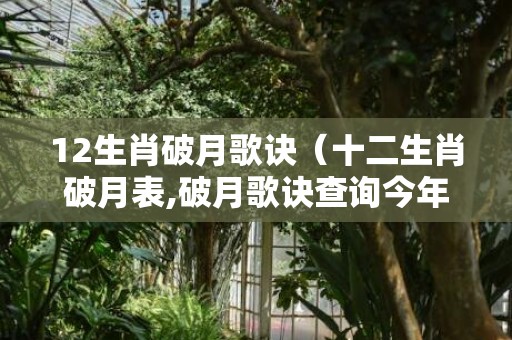 12生肖破月歌诀（十二生肖破月表,破月歌诀查询今年破月生肖破月表）