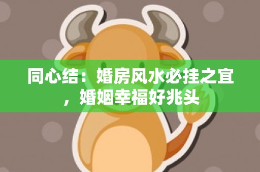 同心结：婚房风水必挂之宜，婚姻幸福好兆头