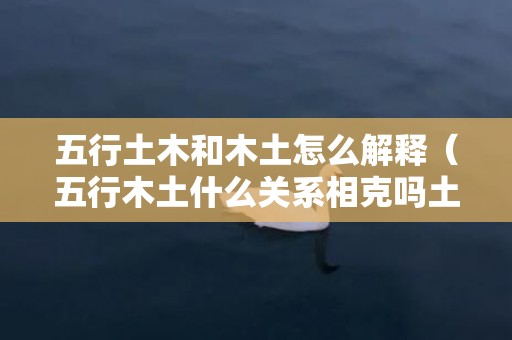 五行土木和木土怎么解释（五行木土什么关系相克吗土木五行相生还是相克）