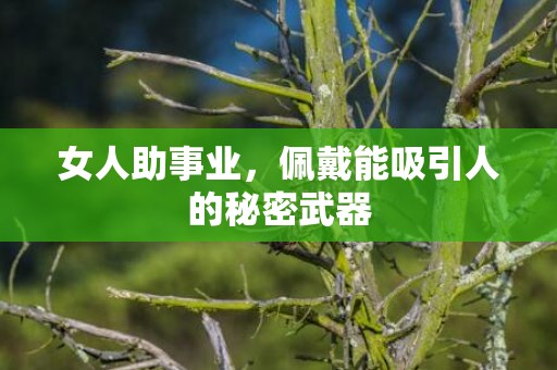 女人助事业，佩戴能吸引人的秘密武器