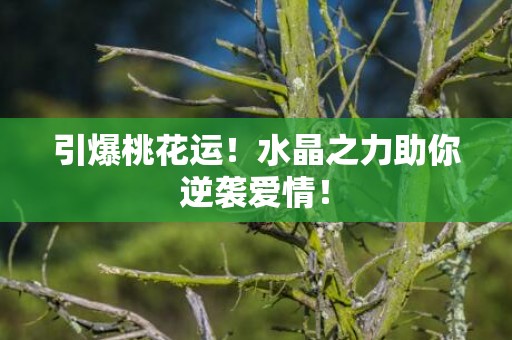 引爆桃花运！水晶之力助你逆袭爱情！