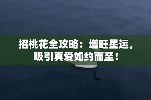 招桃花全攻略：增旺星运，吸引真爱如约而至！