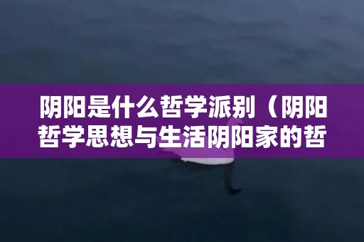 阴阳是什么哲学派别（阴阳哲学思想与生活阴阳家的哲学思想）