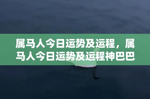 属马人今日运势及运程，属马人今日运势及运程神巴巴华易(属马人今日运势及运程)