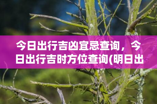 今日出行吉凶宜忌查询，今日出行吉时方位查询(明日出行黄历吉凶宜忌)