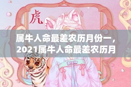 属牛人命最差农历月份一，2021属牛人命最差农历月份(2009属牛人命最差农历月份)