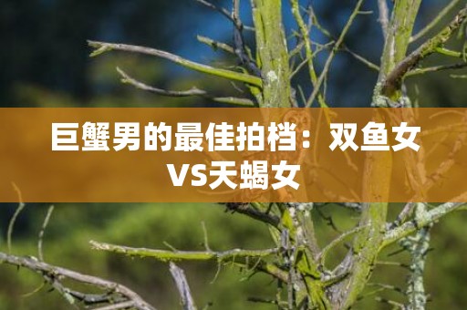 巨蟹男的最佳拍档：双鱼女VS天蝎女