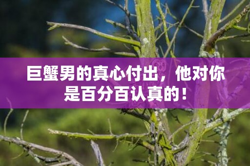 巨蟹男的真心付出，他对你是百分百认真的！