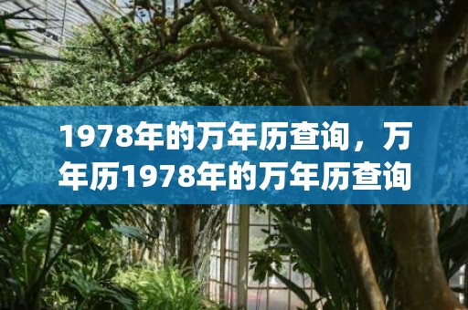 1978年的万年历查询，万年历1978年的万年历查询(1978年的万年历查询)