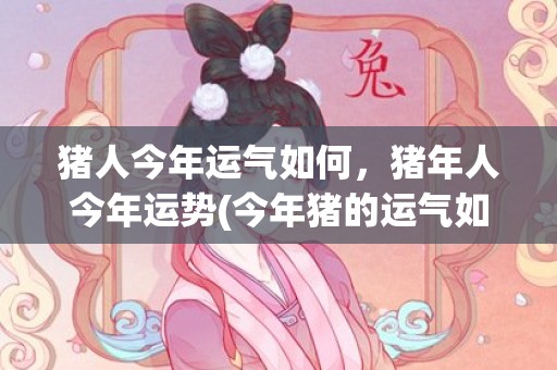 猪人今年运气如何，猪年人今年运势(今年猪的运气如何)