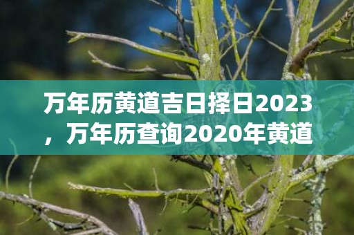万年历黄道吉日择日2023，万年历查询2020年黄道吉日(万年历老黄历2022年黄道吉日查询)