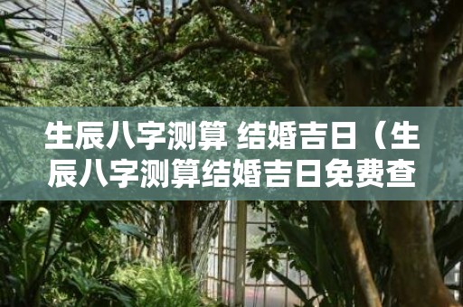 生辰八字测算 结婚吉日（生辰八字测算结婚吉日免费查询生辰八字结婚日期测算）
