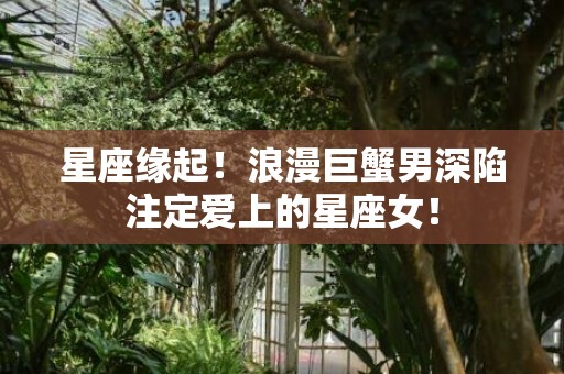 星座缘起！浪漫巨蟹男深陷注定爱上的星座女！