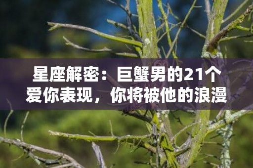 星座解密：巨蟹男的21个爱你表现，你将被他的浪漫所深深吸引