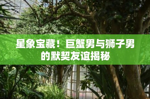 星象宝藏！巨蟹男与狮子男的默契友谊揭秘