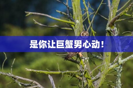 是你让巨蟹男心动！