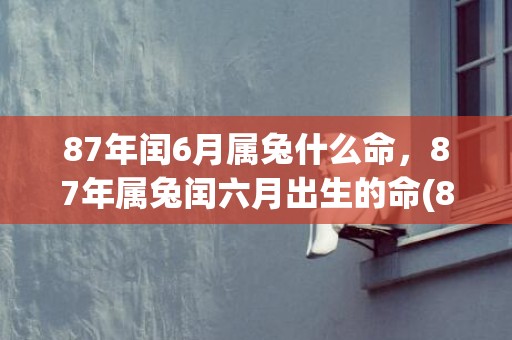 87年闰6月属兔什么命，87年属兔闰六月出生的命(87年闰6月属兔什么命)