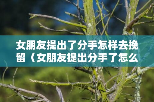 女朋友提出了分手怎样去挽留（女朋友提出分手了怎么挽回）