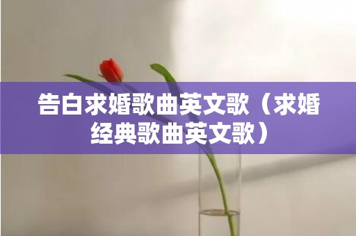 告白求婚歌曲英文歌（求婚经典歌曲英文歌）