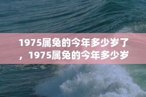 1975属兔的今年多少岁了，1975属兔的今年多少岁了啊(1975属兔的今年运势)