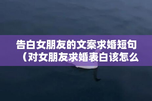 告白女朋友的文案求婚短句（对女朋友求婚表白该怎么说）