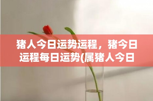 猪人今日运势运程，猪今日运程每日运势(属猪人今日运势查询运程)