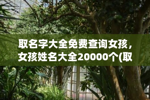 取名字大全免费查询女孩，女孩姓名大全20000个(取名字大全免费查询兔年)