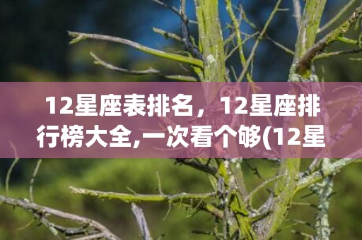 12星座表排名，12星座排行榜大全,一次看个够(12星座排名表图片)