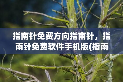 指南针免费方向指南针，指南针免费软件手机版(指南针的方向N指什么方向)