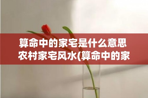 算命中的家宅是什么意思 农村家宅风水(算命中的家宅是什么意思)