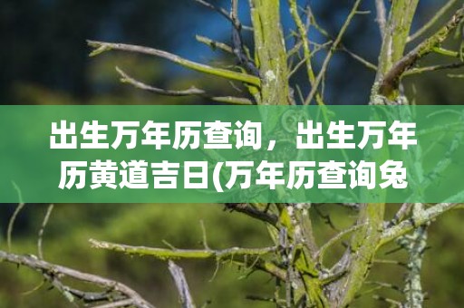 出生万年历查询，出生万年历黄道吉日(万年历查询兔年出生的)