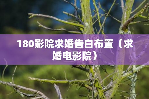 180影院求婚告白布置（求婚电影院）