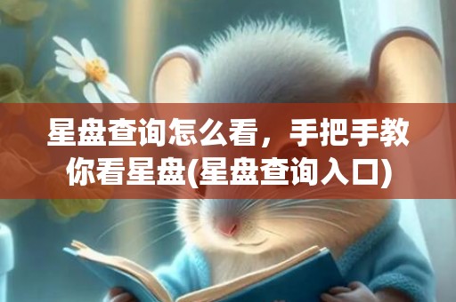 星盘查询怎么看，手把手教你看星盘(星盘查询入口)