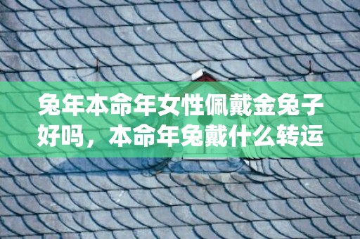 兔年本命年女性佩戴金兔子好吗，本命年兔戴什么转运(兔年本命年女性佩戴金兔子好吗)