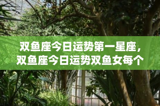 双鱼座今日运势第一星座，双鱼座今日运势双鱼女每个月运势(双鱼座今日运势第一星座网页)
